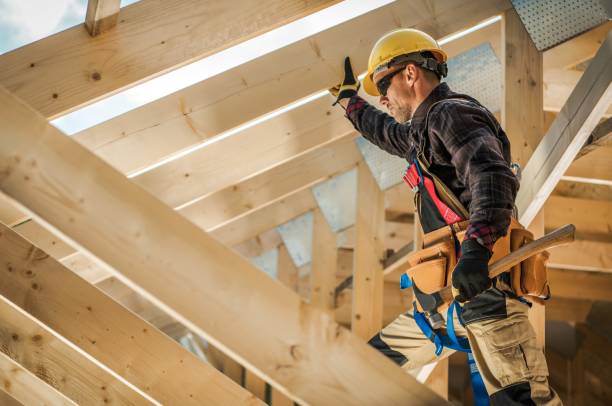 Best Roof Gutter Cleaning  in Satsuma, AL